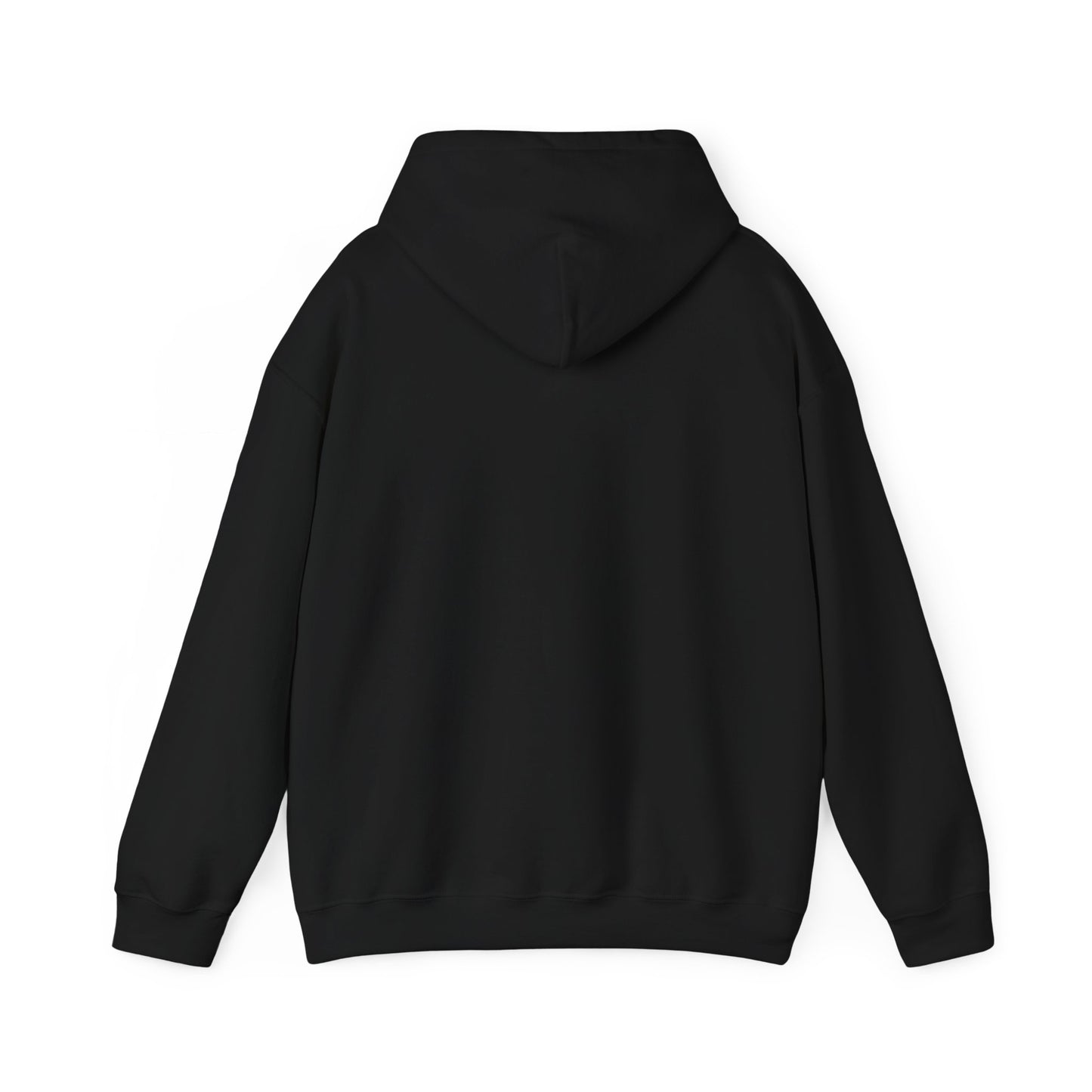 Airbus hoodie