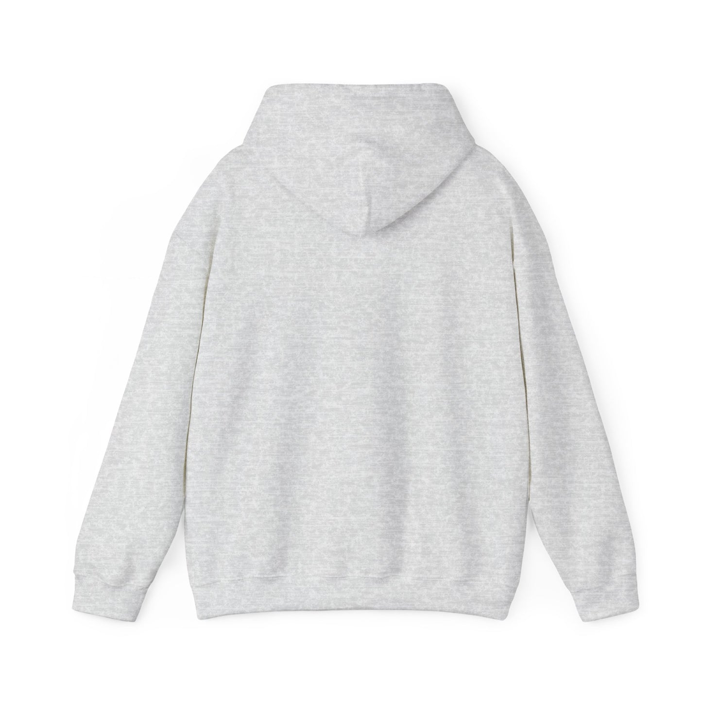 Apollo 11 hoodie