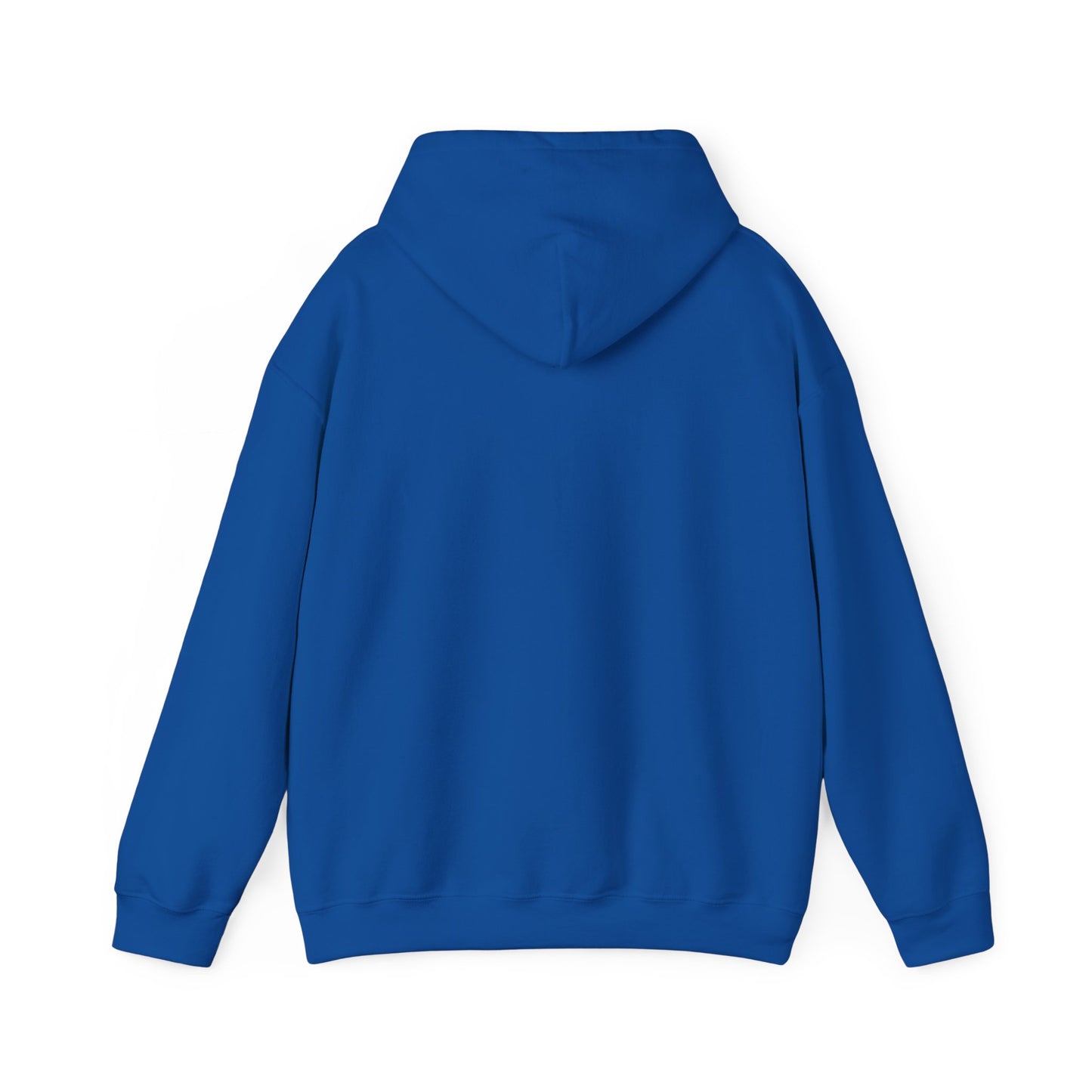 Airbus hoodie