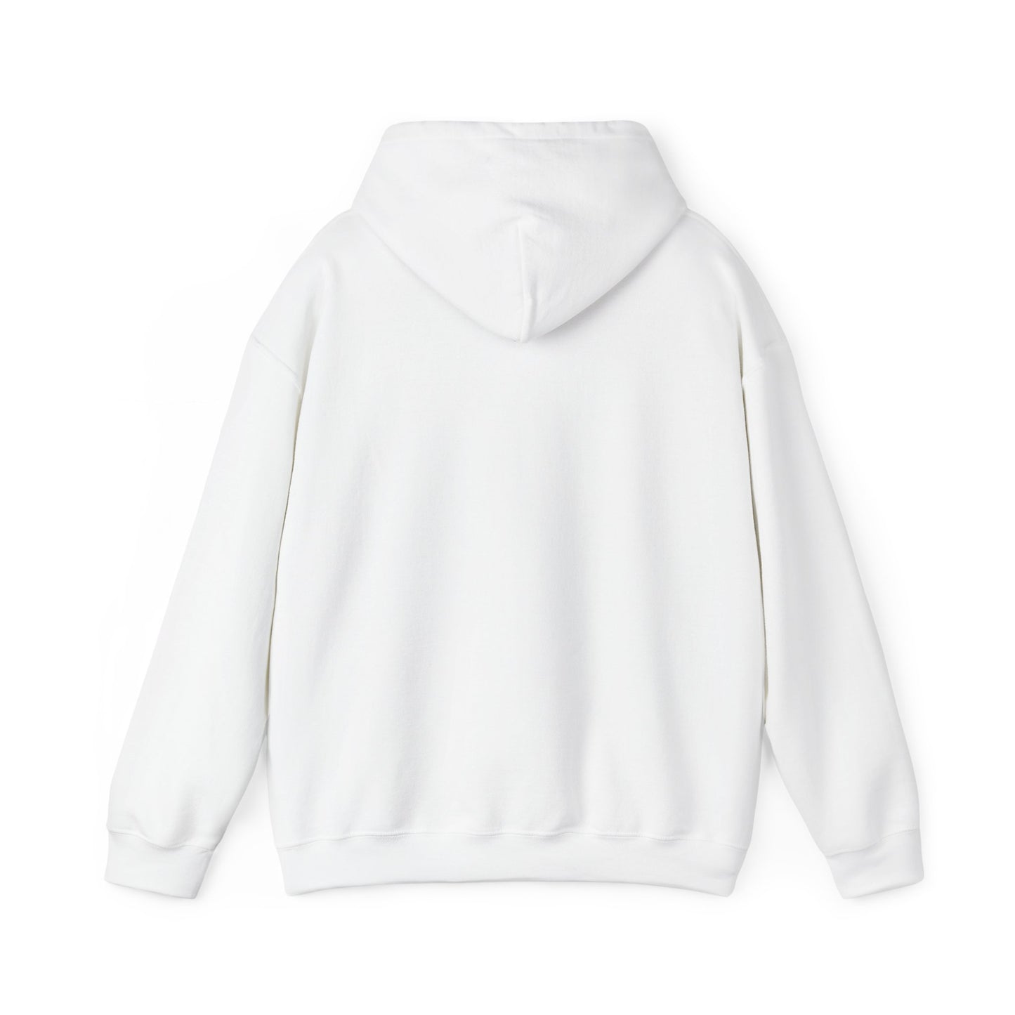 Airbus hoodie