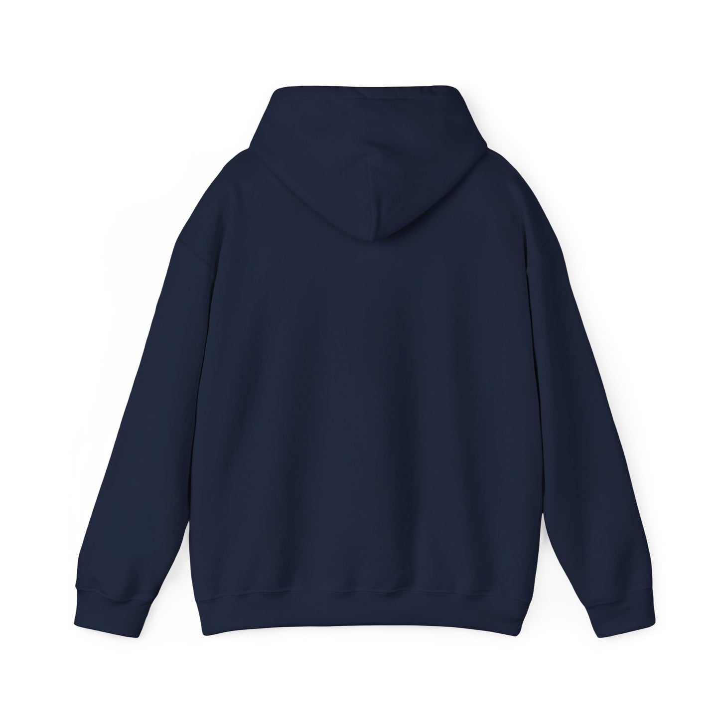 DC-3 hoodie